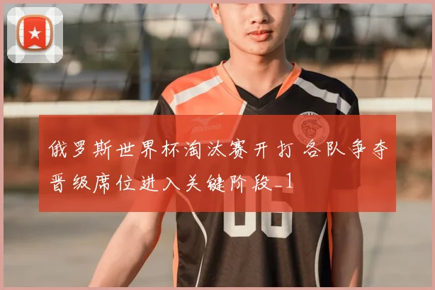 俄罗斯世界杯淘汰赛开打 各队争夺晋级席位进入关键阶段_1