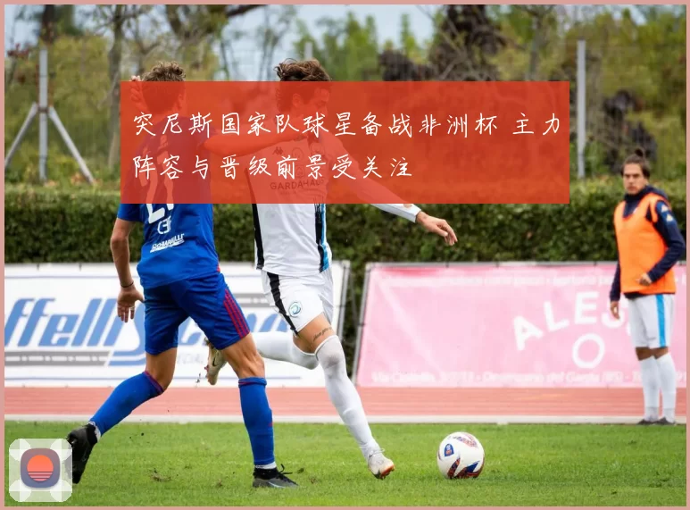 突尼斯国家队球星备战非洲杯 主力阵容与晋级前景受关注